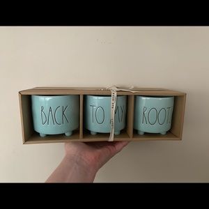 ✨ Host Pick✨Rae Dunn mini planter set!